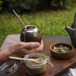 Yerba Mate
